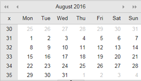 Image displaying date picker